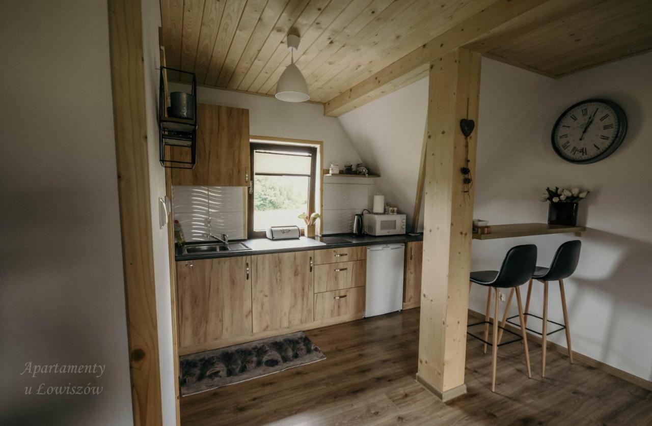 Apartament U Lowiszow Witów Exteriér fotografie