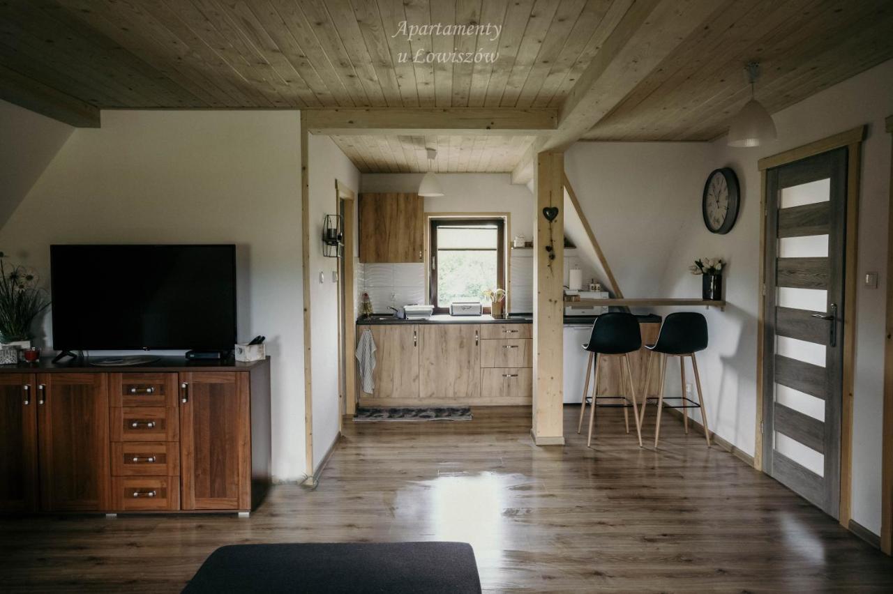 Apartament U Lowiszow Witów Exteriér fotografie